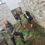 Plantation d'arbustes fruitiers! plantation-darbustes-fruitiers